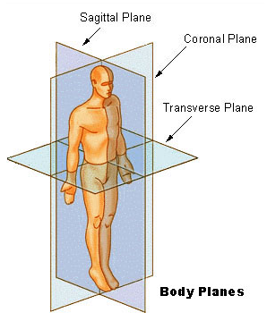 World Coordinates in Context of the Human Body