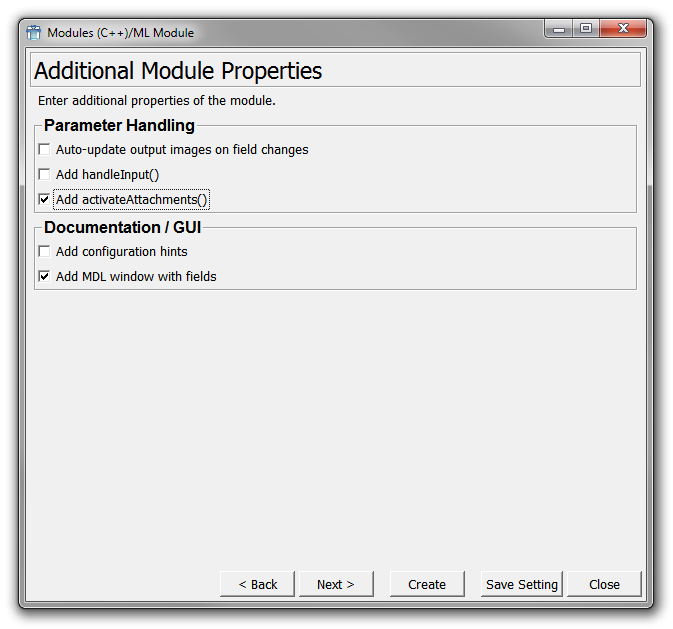 Project Wizard — Additional Module Properties