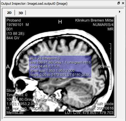 Output Inspector with Additional Information Display