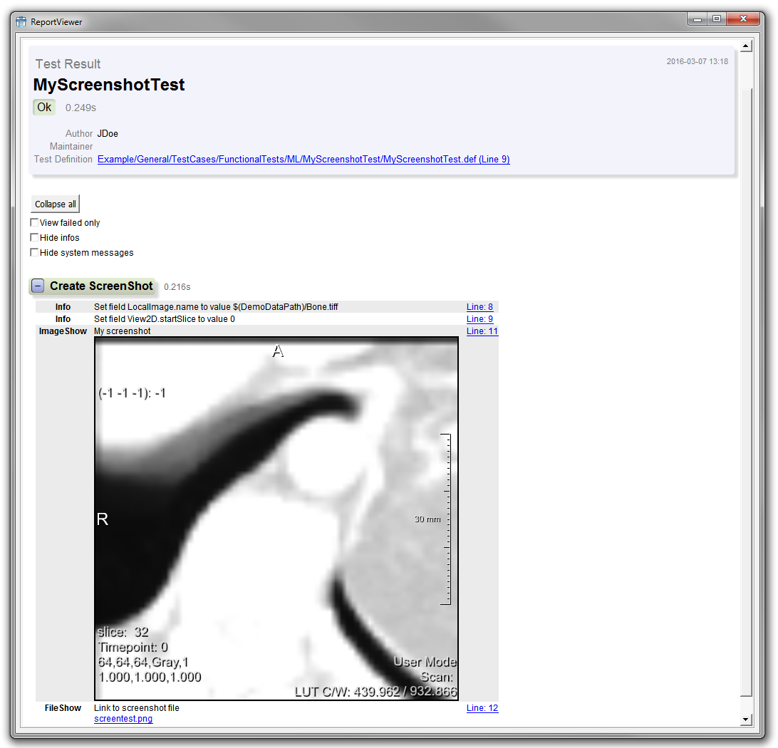 Report for ScreenShot Example