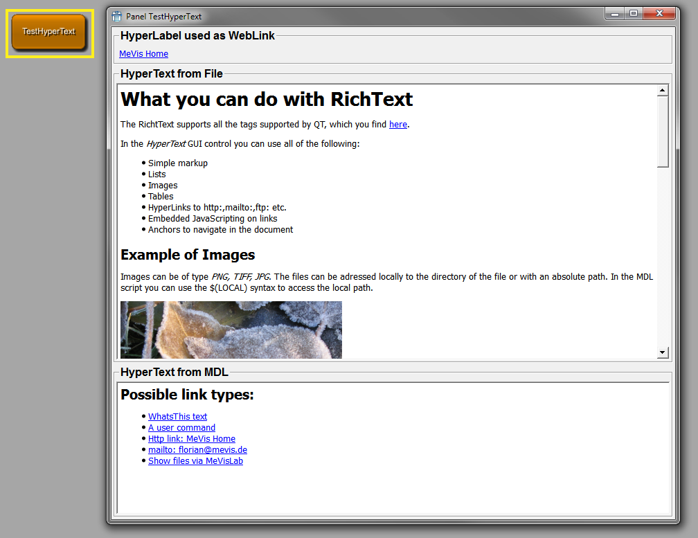 TestHyperText Module