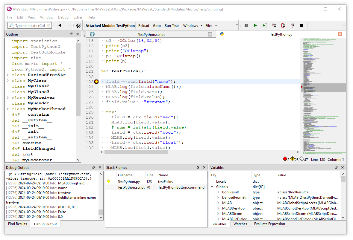 MATE with Python Debugger
