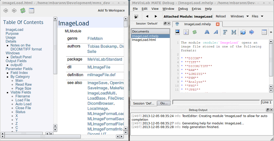Decoupled HTML View