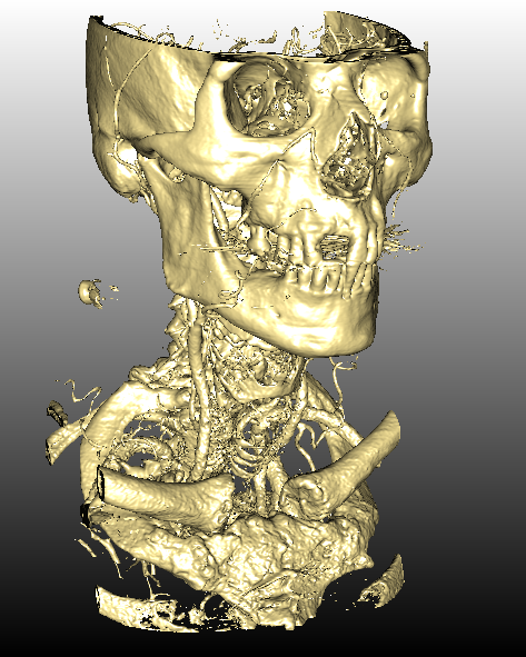 ../../../Modules/Inventor/SoGVR/mhelp/Images/FirstHitNoAmbientOcclusion.png