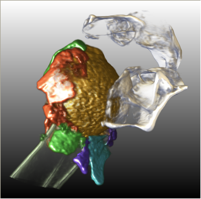 ../../../Modules/Inventor/SoGVR/mhelp/Images/TagObjectStyle.png