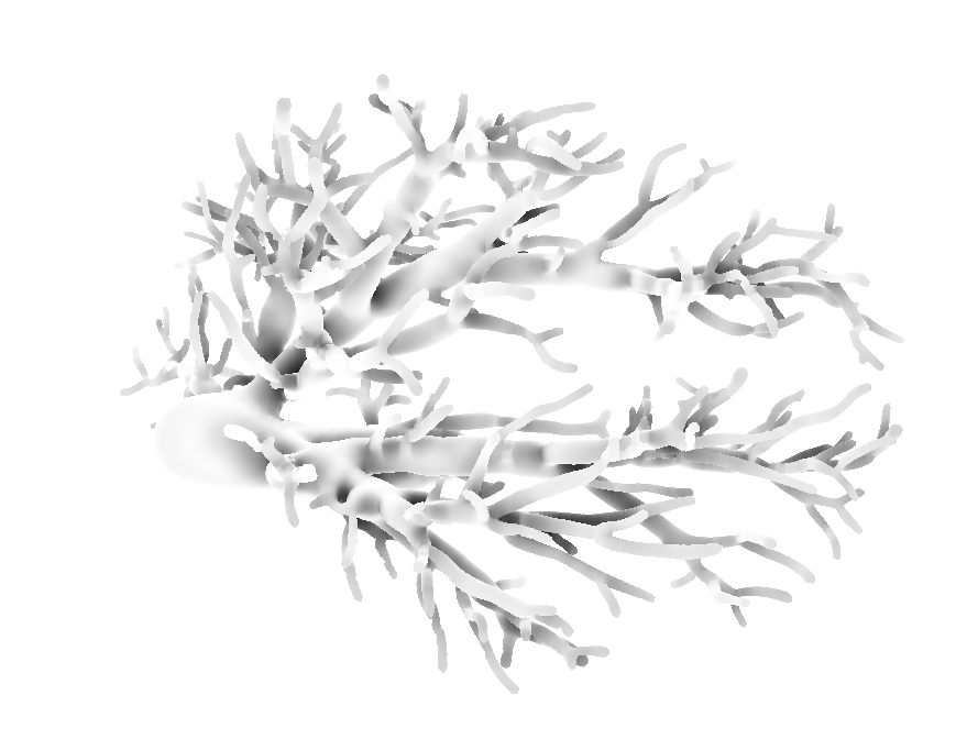 ../../../Modules/Inventor/SoRenderers/mhelp/Images/AmbientOcclusionOnly.png