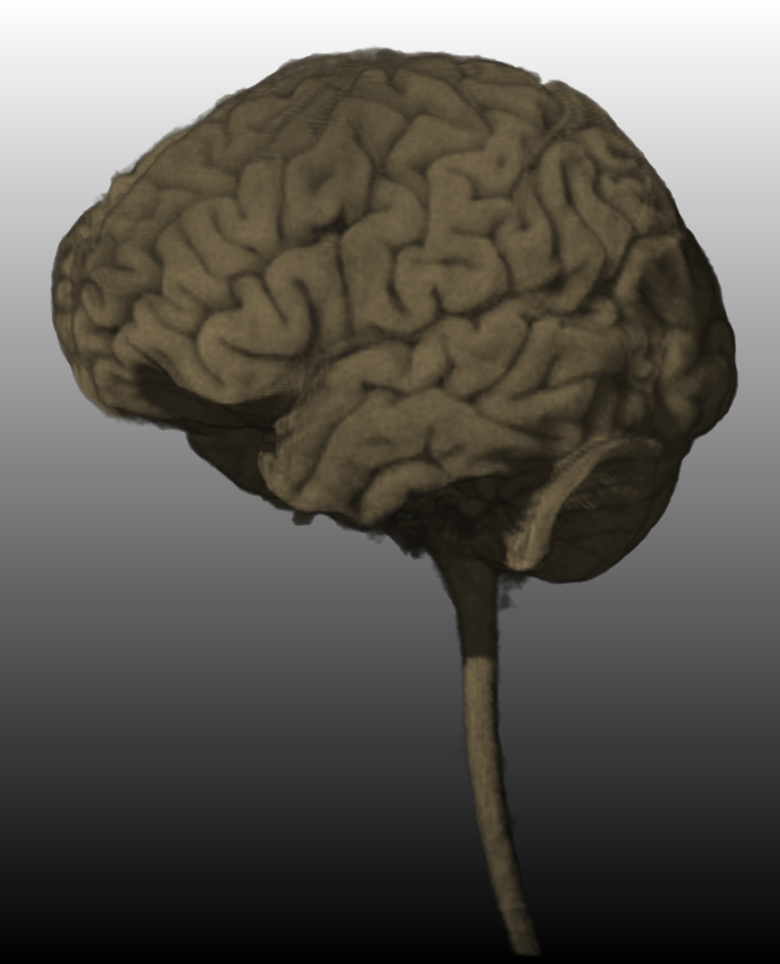 ../../../Modules/Macros/GVR/mhelp/Images/DeepShadowMapping.png